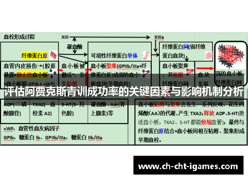 评估阿贾克斯青训成功率的关键因素与影响机制分析 评估阿贾克斯青训成功率的关键因素与影响机制分析